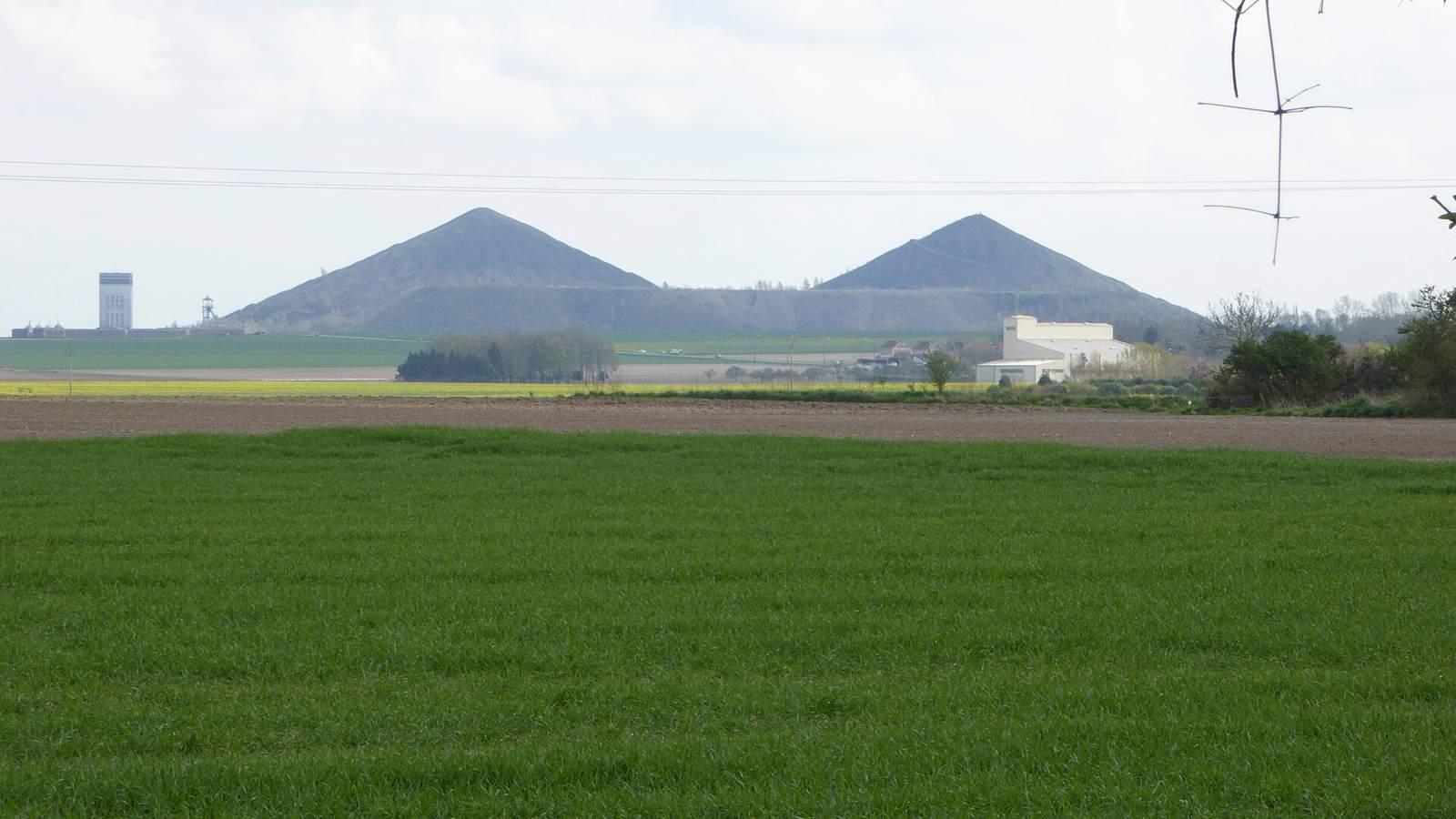 Les terrils jumeaux de Loos-en-Gohelle et le terril plat qui les relie, vus depuis Vermelles en avril 2016
